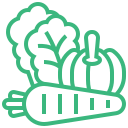 Vegetales y hortalizas